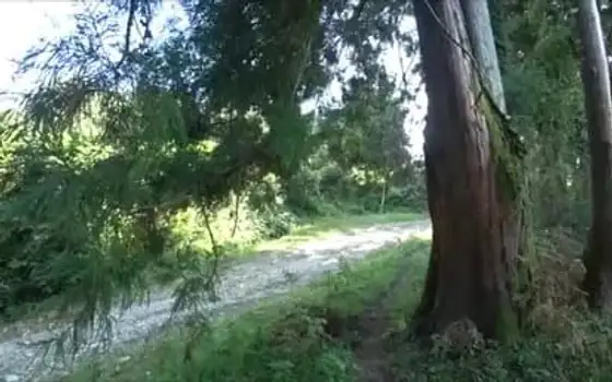 Land Plot Near Sea in Ureki, photo 4