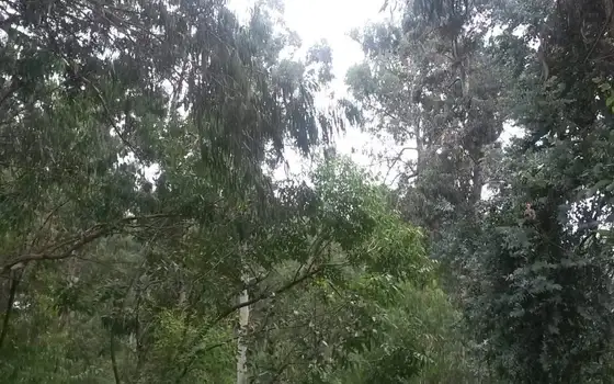 Land Plot Near Sea in Ureki, photo 3