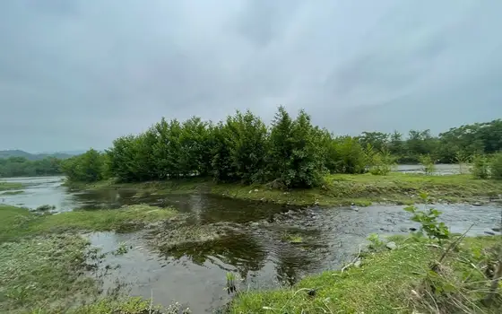 Продается земельный участок в Хуцубани, у дороги.