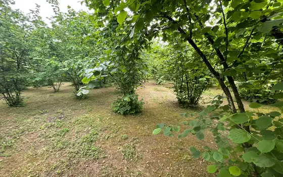 Продается двухэтажный дом в Мухастейте