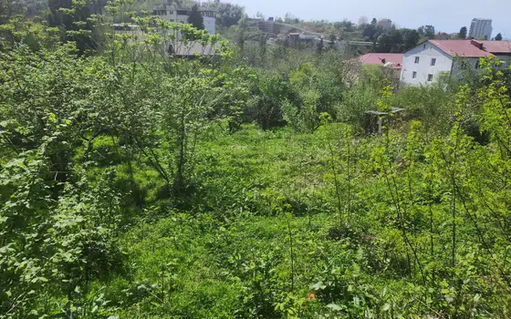 Продается земельный участок в Махинджаури. Батуми Грузия, фото 10