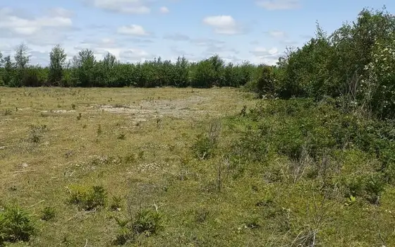 Продается инвестиционный земельный участок на берегу реки в Анаклии.