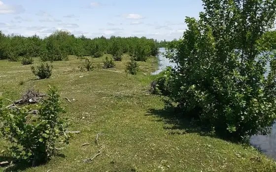 Продается инвестиционный земельный участок на берегу реки в Анаклии.
