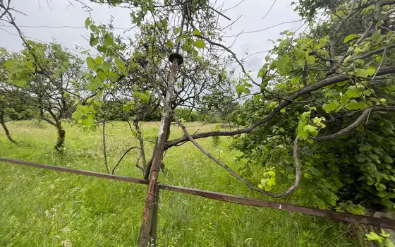 25002 m² agricultural land by airport road, photo 5