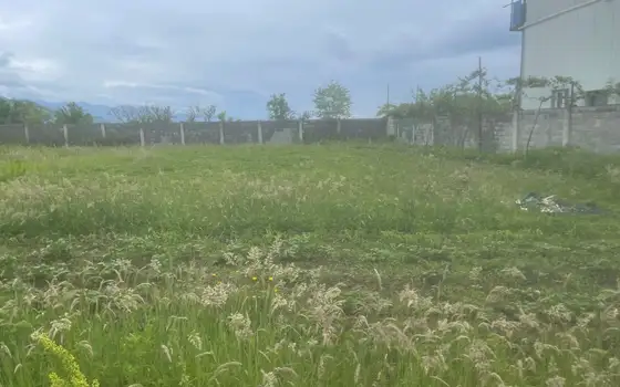 Сельхозучасток 25002 м² у аэропортовой трассы - изображение 1