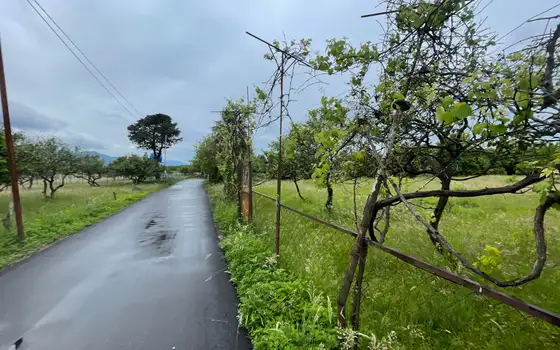25002 m² agricultural land by airport road, photo 4