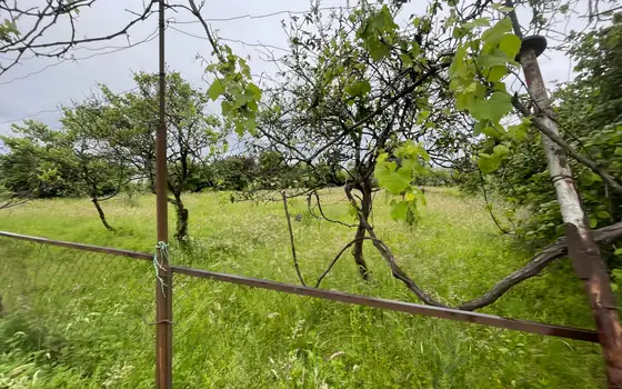 25002 m² agricultural land by airport road, photo 6