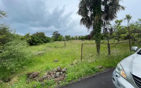 25002 m² agricultural land by airport road, photo 7