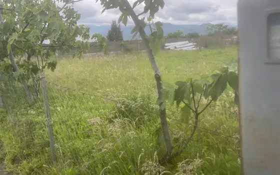 25002 m² agricultural land by airport road, photo 3