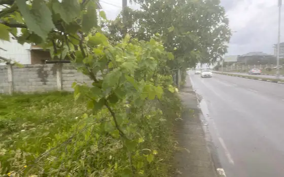 25002 m² agricultural land by airport road, photo 2