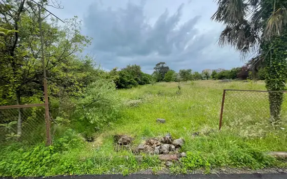 25002 m² agricultural land by airport road, photo 8