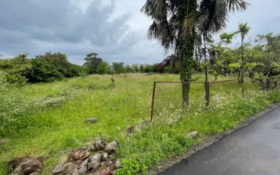 25002 m² agricultural land by airport road, photo 9