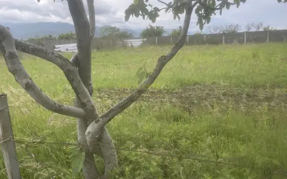 Земельный участок недалеко от центра города