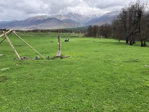 Земельный участок в курортном районе. Боржоми