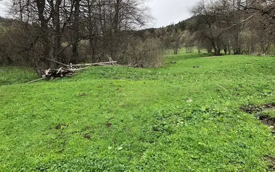 Земельный участок в курортном районе. Боржоми