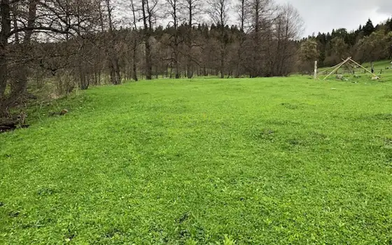 Земельный участок в курортном районе. Боржоми