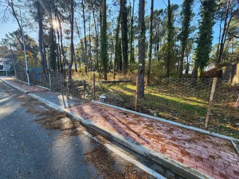 На берегу Черного моря в  курортный городок  Капровани.