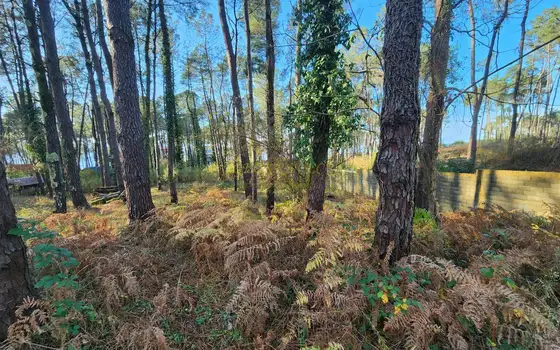 На берегу Черного моря в  курортный городок  Капровани.
