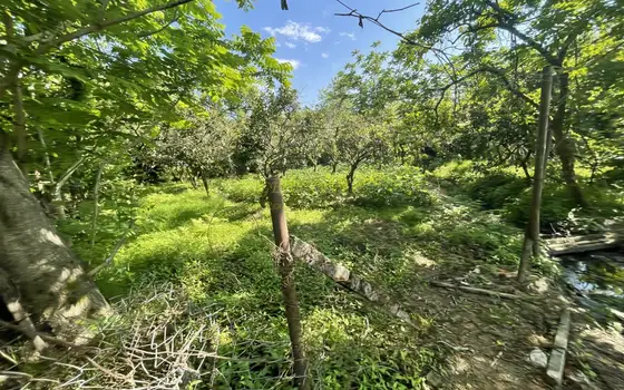 Земельный участок в курортном районе, Чакви
