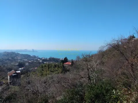 Приземлитесь на зеленом мысу с видом на море и город