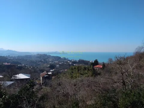 Приземлитесь на зеленом мысу с видом на море и город