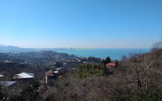 Приземлитесь на зеленом мысу с видом на море и город