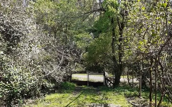 Дом и земля в строю. Озургети