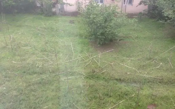 Двухэтажный дом с участком земли в Даба Чакви