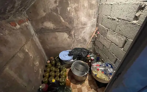 Собственный дом в муниципалитете Кобулети с собственным мандариновым садом.