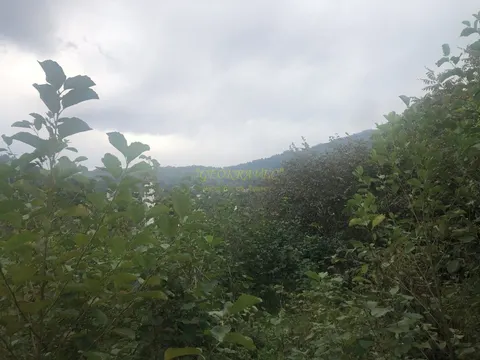 На продаже инвестиционный земельный участок у моря в Гонио.