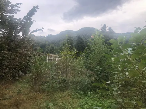На продаже инвестиционный земельный участок у моря в Гонио.