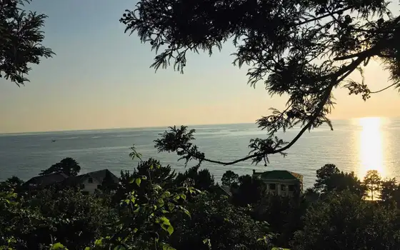Agricultural Land with Sea View in Chakvi, photo 2