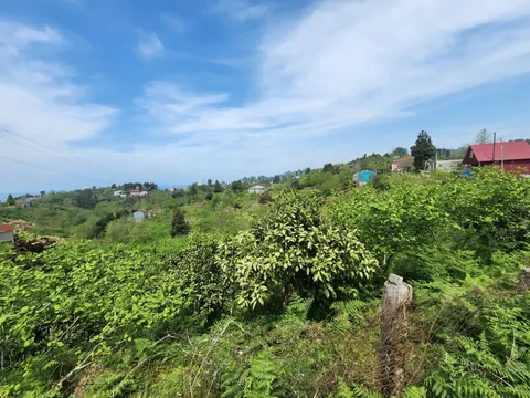 Продается земельный участок в Чакви с видом на море.