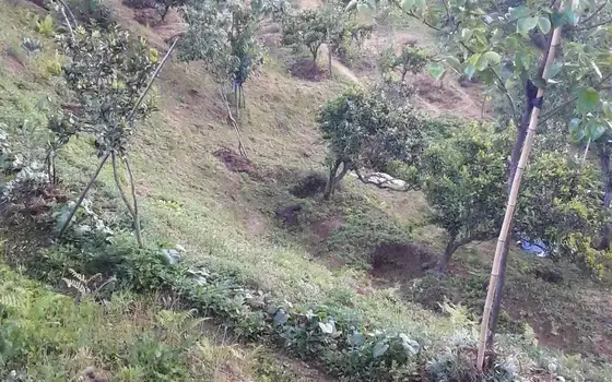 Agricultural Land with Sea View in Chakvi, photo 6