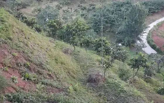 Agricultural Land with Sea View in Chakvi, photo 12