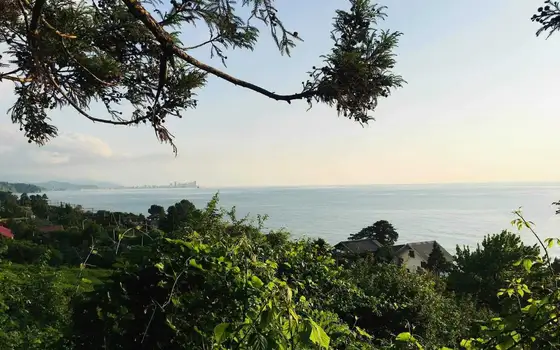 Agricultural Land with Sea View in Chakvi, photo 4