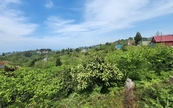 Продается земельный участок в Чакви с видом на море.