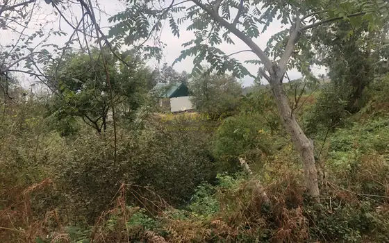 На продаже земельный участок в Сарпи с видом на море и на горы. Аджария.