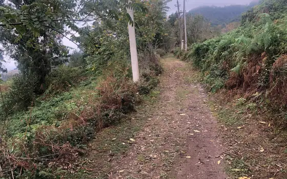 2504 m² Land Plot in Sarpi with Views, photo 6