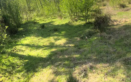 Продается земельный участок в Кобулети.