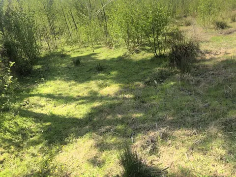Продается земельный участок в Кобулети.