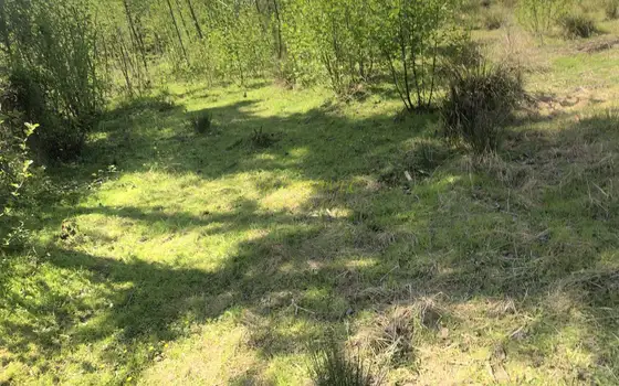 Продается земельный участок в Кобулети.