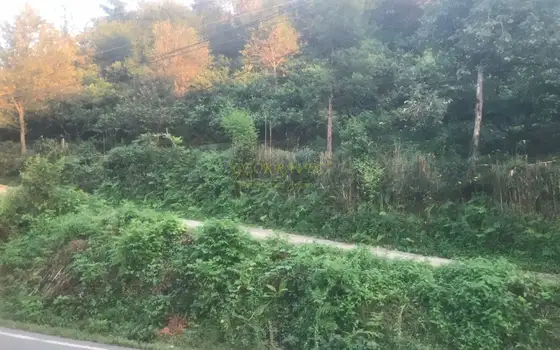 Село  Капрешуми в муниципалитете Хелвачаури недалеко от Батуми.