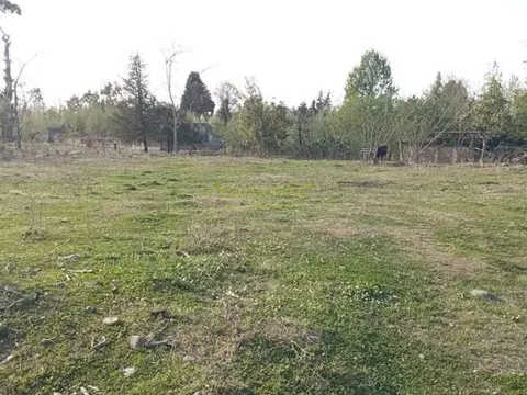 В нескольких километрах от Кобулети, в селе Хуцубани.