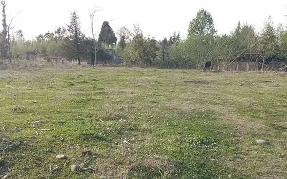В нескольких километрах от Кобулети, в селе Хуцубани.