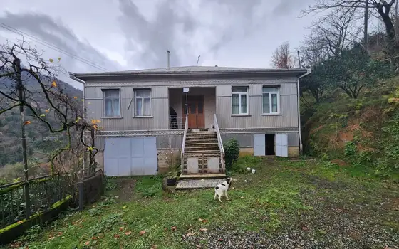 Село Хала Кобулетского муниципалитета.