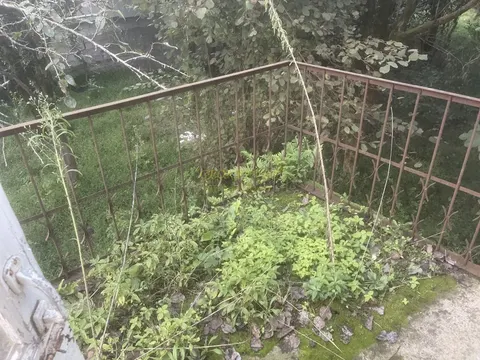 На популярном морском курорте Гонио.