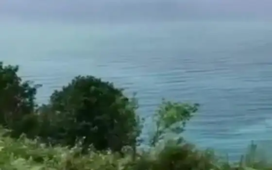 2202 m² Land Plot in Sarpi by Sea, photo 6