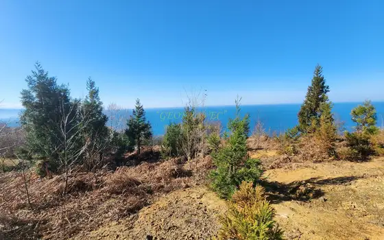 Земельный участок с  видом на море в  Сарпи.
