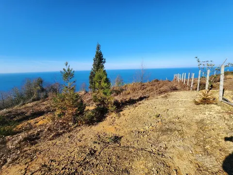 Земельный участок с  видом на море в  Сарпи.